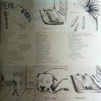 Vinyl Record Eskimeaux - Year Of The Rabbit (Coloured) (LP) - 5
