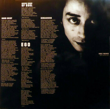 Vinyl Record Urban Dance Squad - Singles Collection (2 LP) - 9