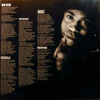 Vinyl Record Urban Dance Squad - Singles Collection (2 LP) - 11