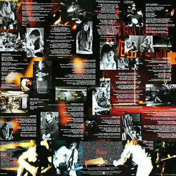 Vinyylilevy Silverchair - Freak Show (LP) - 9