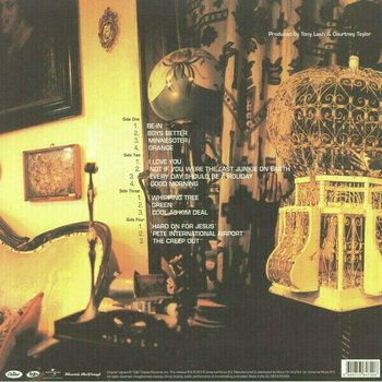 Δίσκος LP The Dandy Warhols - Dandy Warhols Come Down (2 LP) - 2
