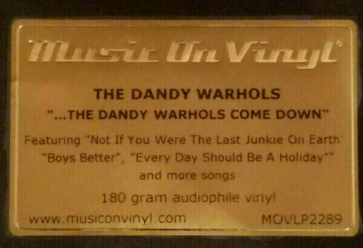 Vinyl Record The Dandy Warhols - Dandy Warhols Come Down (2 LP) - 3