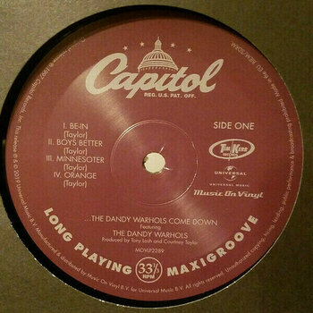 Vinyl Record The Dandy Warhols - Dandy Warhols Come Down (2 LP) - 4