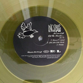 Vinyl Record Incubus - A Crow Left of the Murder (Transparent Yellow) (2 LP) - 14