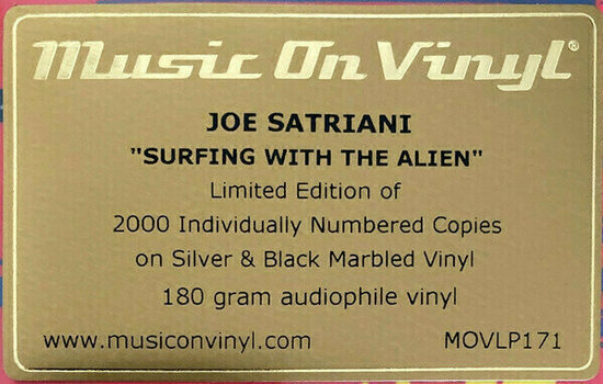 Vinyl Record Joe Satriani - Surfing With the Alien (LP) - 7