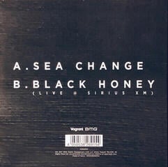 Hanglemez Thrice - RSD - Sea Change (7" Vinyl) - 1