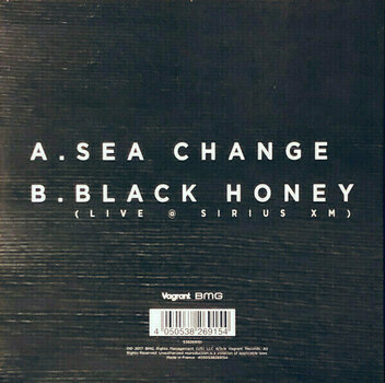 Schallplatte Thrice - RSD - Sea Change (7" Vinyl) - 2