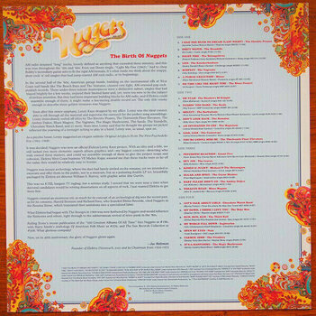 LP ploča Various Artists - Nuggets-Original Artyfacts Fro (2 LP) - 9