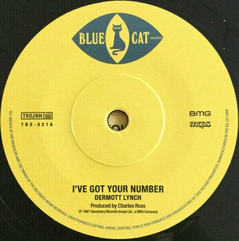 Disque vinyle Various Artists - RSD - Get Ready, Do Rock Steady (Box Set) (10 7" Vinyl) - 13