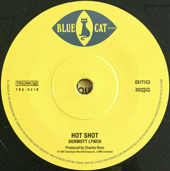 Disque vinyle Various Artists - RSD - Get Ready, Do Rock Steady (Box Set) (10 7" Vinyl) - 15