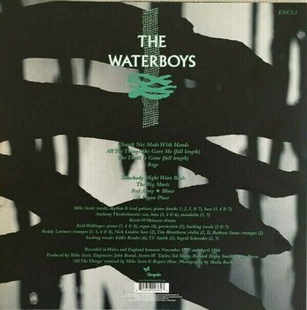 LP The Waterboys - Pagan Place (LP) - 2