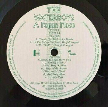 Vinyl Record The Waterboys - Pagan Place (LP) - 3