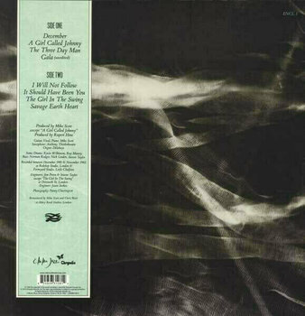 Schallplatte The Waterboys - The Waterboys (LP) - 2
