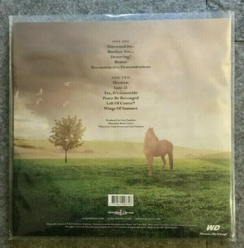 Płyta winylowa Serj Tankian - Imperfect Harmonies (LP) - 3