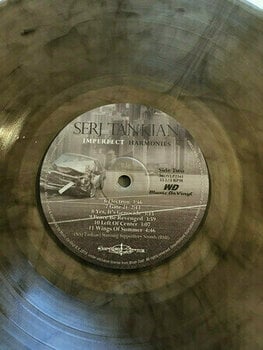 Płyta winylowa Serj Tankian - Imperfect Harmonies (LP) - 7