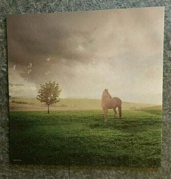 Płyta winylowa Serj Tankian - Imperfect Harmonies (LP) - 10