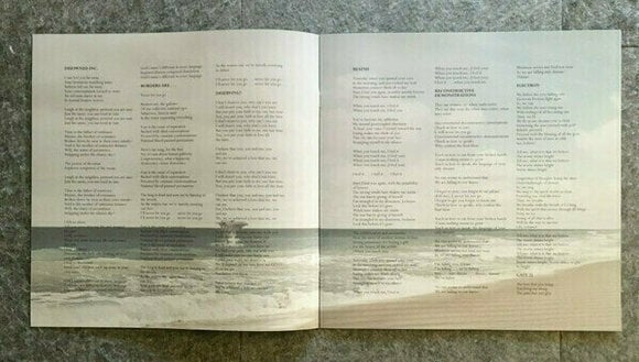 Płyta winylowa Serj Tankian - Imperfect Harmonies (LP) - 11