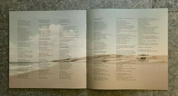 Płyta winylowa Serj Tankian - Imperfect Harmonies (LP) - 13