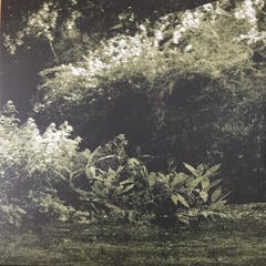 Schallplatte Opeth - Watershed (2 LP) - 2