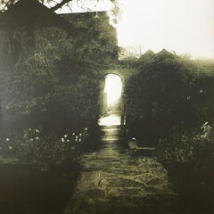 Schallplatte Opeth - Watershed (2 LP) - 4