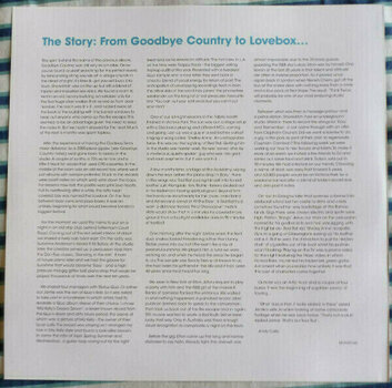 Disque vinyle Groove Armada - Lovebox (2 LP) - 5