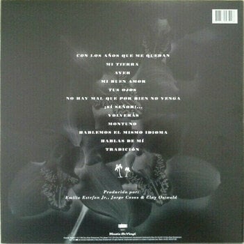 Vinyl Record Gloria Estefan - Mi Tierra (LP) - 2