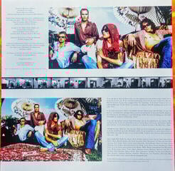 LP ploča Stone Temple Pilots - Shangri La Dee Da (LP) - 3