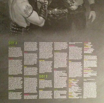 Schallplatte Misfits - Famous Monsters (LP) - 7