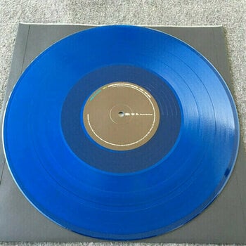 Disque vinyle Incubus - S.C.I.E.N.C.E. (2 LP) - 9