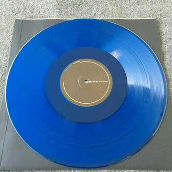 Disque vinyle Incubus - S.C.I.E.N.C.E. (2 LP) - 11