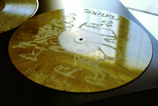 LP ploča Soulfly - Prophecy (2 LP) - 11