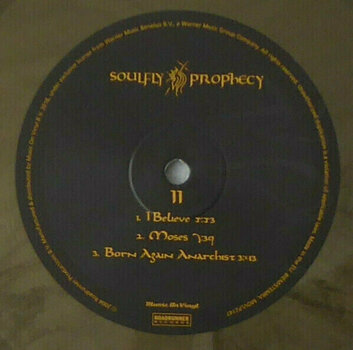 LP ploča Soulfly - Prophecy (2 LP) - 13