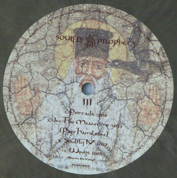 LP ploča Soulfly - Prophecy (2 LP) - 14