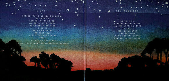 Disque vinyle Passenger - All the Little Lights (2 LP) - 2
