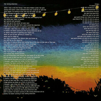 Vinyl Record Passenger - All the Little Lights (2 LP) - 11