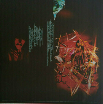 Schallplatte Jefferson Airplane - After Bathing At Baxter's (LP) - 6
