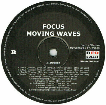 Vinyl Record Focus - Moving Waves (LP) - 4