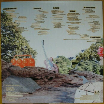 Vinyl Record The Coral - Coral (LP) - 5