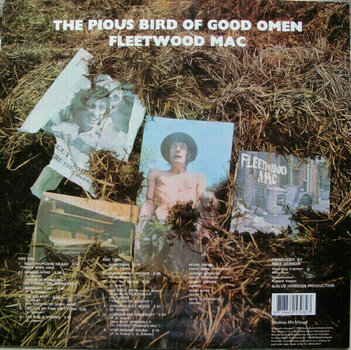 Vinyl Record Fleetwood Mac - Pious Bird of Good Omen (LP) - 2