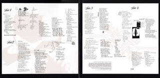 Vinylskiva Incubus - A Crow Left of the Murder (2 LP) - 5