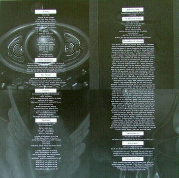 Vinyl Record Steve Vai - Passion & Warfare (LP) - 3