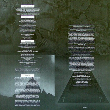 Vinyl Record Steve Vai - Passion & Warfare (LP) - 4