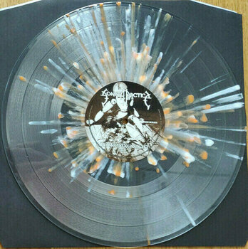 Vinyylilevy Sonata Arctica - Reckoning Night (Limited Edition) (2 LP) - 9