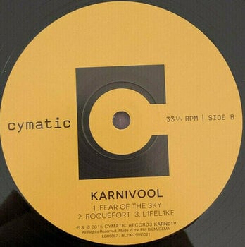 Disco de vinilo Karnivool Themata (2 LP) - 11