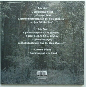 Δίσκος LP Behemoth - And The Forests Dream Eternally (Clear Vinyl) (Limited Edition) (LP) - 2