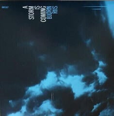 LP ploča Bjorn Riis - A Storm Is Coming (LP) - 3