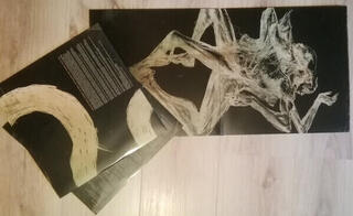 Vinyl Record Karnivool - Asymmetry (Gatefold Sleeve) (2 LP) - 1