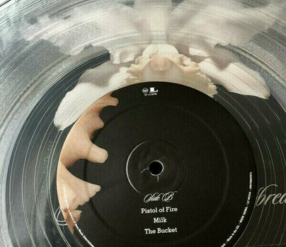 Disque vinyle Kings of Leon - Aha Shake Heartbreak (Transparent Vinyl) (LP) - 9
