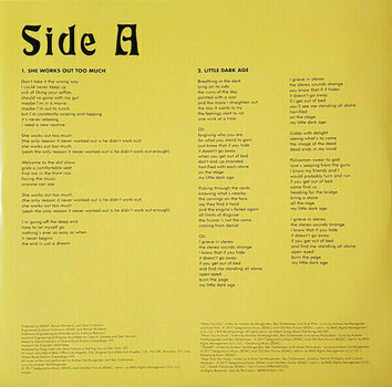 Disque vinyle MGMT - Little Dark Age (2 LP) - 8