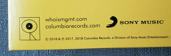 Vinyl Record MGMT - Little Dark Age (2 LP) - 13